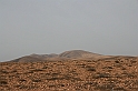Kanary_2010 205